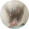 描くタイプ陰毛（#2）