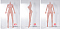 148cm Dカップ