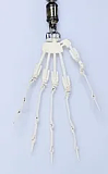 【新作】130cm 露比 Rubyちゃん  ビニール製頭部＋TPE製 ボディ 肌色＆眼球色＆メイク＆ウィッグ＆衣装は宣材写真と同じ MOZU DOLL