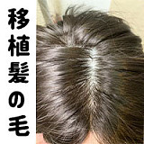 【アニメドール】GD36_1(GD53MJ)へッド ＆ 155cm Cカップ 漫画 ロリ風 口開閉機能付き フルシリコンドール waxdoll