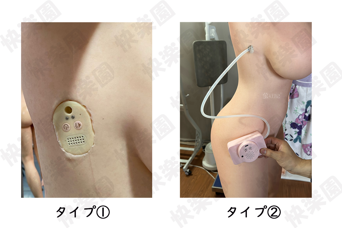 電動機能 蛍火日記 二つのタイプの画像 ダッチ ドール