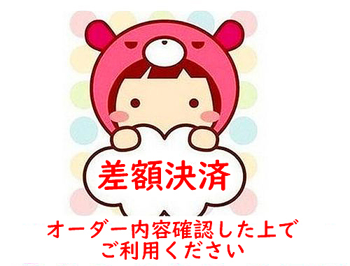 差額ページ　LD2025052785717464219　27271660と28145785の衣装を追加注文　お支払い専門ページ