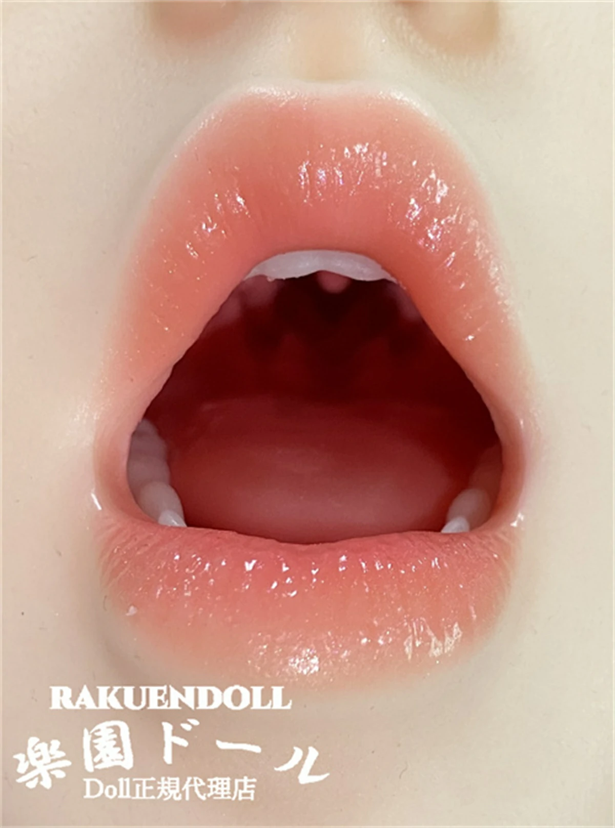 伴趣ドール 口の内部構造 口 ラブドール