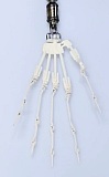 Real lady 170cm Cカップ S17ヘッド 有名モデルの型取り シリコン製リアルラブドール 塗装加工あり 眉毛と睫毛植毛加工あり リアルドール 等身大 ダッチワイフ