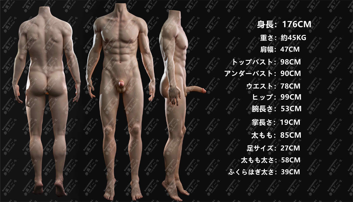 蛍火日記 ペニス選択可 176ボディーサイズ