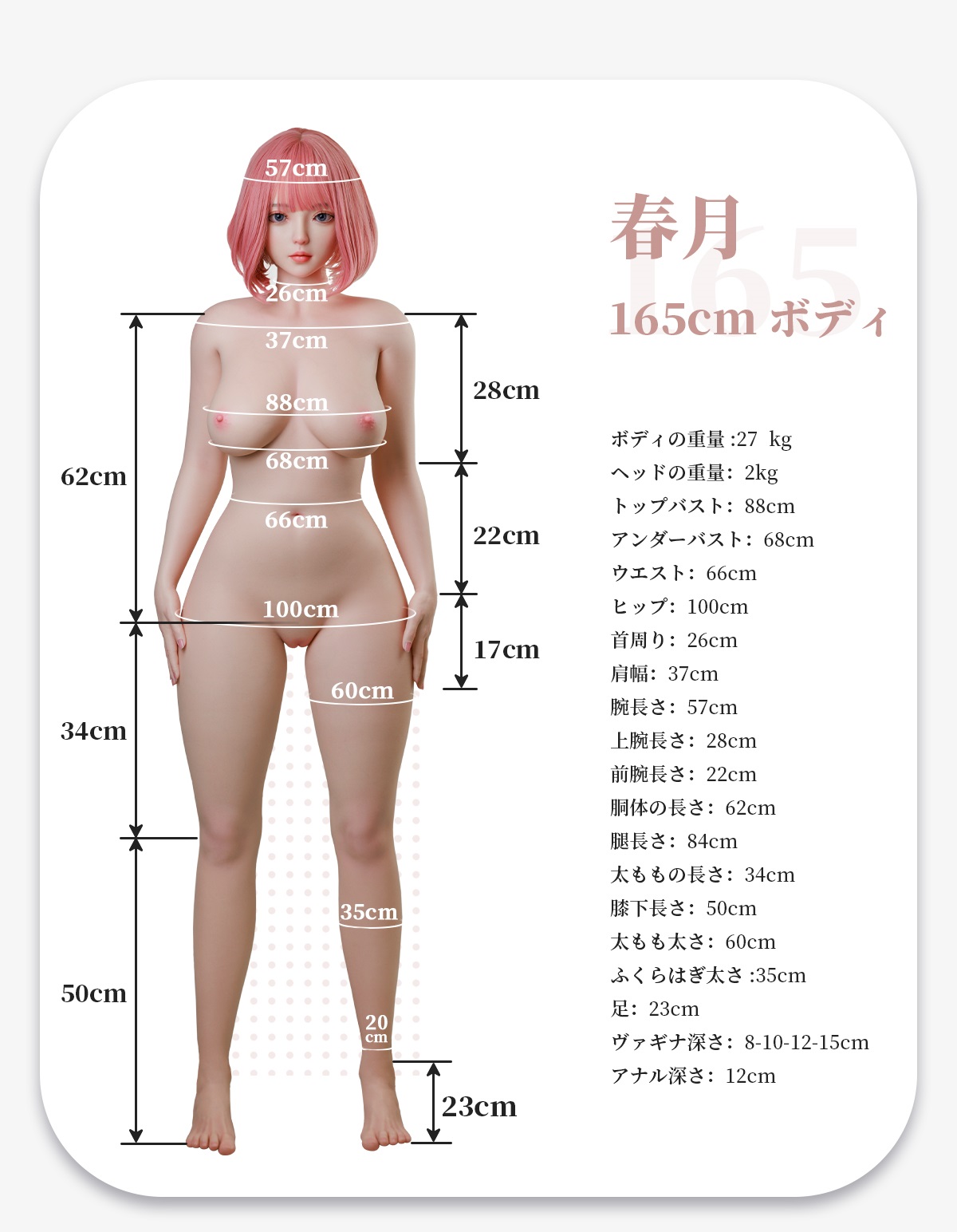 三面図 ラブドール artdoll 165 新作