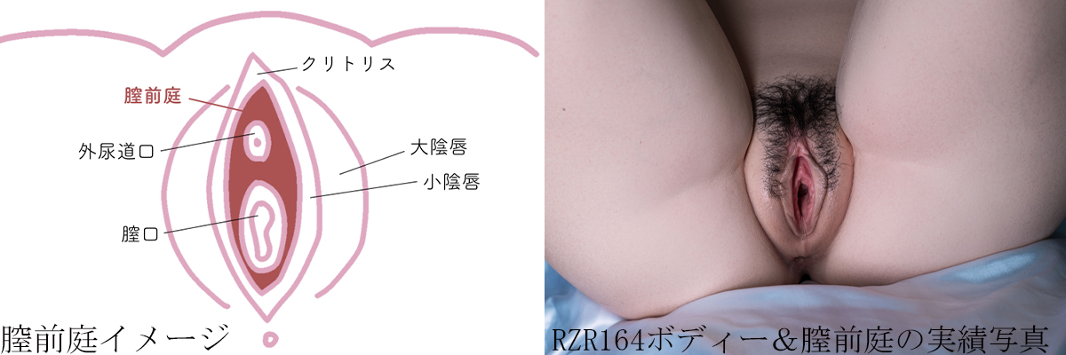 膣前庭構造について 色っぽい sexdoll RZRDOLLアダルトダッチワイフ