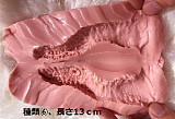 RZR Doll 欧米ラブドール No.21 小麦色肌 Elsaヘッド 164cm Eカップ 膣前庭構造あり フルシリコン製セックスダッチワイフ