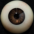 TC14Rヘッド ＆ 130cm バスト大 TPEdoll 宣材写真がリアルメイク付き axbdoll