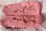 RZR Doll  欧米風 No.21 小麦色肌 Elsaヘッド 164cm Eカップ 膣前庭構造あり  高級 ギャル系ラブドール