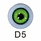 D5