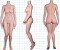 150cm Aカップ-シリコン製