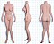 161cm Cカップ-シリコン製