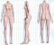 163cm Aカップ-シリコン製（二次元体型）