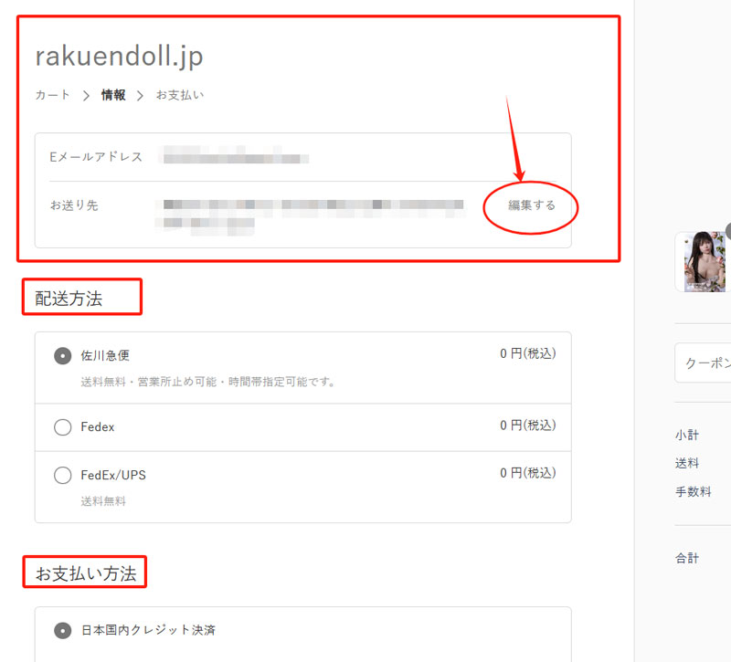 決済画面 セックス人形