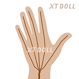 Graceヘッド(xt-39)& 157cm Dカップ ロリ  宣伝画像フルシリコンドール 等身大リアルラブドール XTDOLL