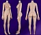 163cm Dカップ