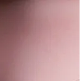 Realgirl Ｃ工場製 LS1ヘッド 158cm Eカップ 清らかな黒髪美少女  ヘッド及びボディー材質選択可能 カスタマイズ可能 Real Girl