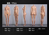 【ボディのみ】FANREALフルシリコン製 ラブドール ボディ単体専門販売ページ リアルメイク付き アジアボディ