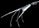 ZELEXDOLL 新ボディー175cm Eカップ GE03-2 フルシリコン製 等身大リアルラブドール