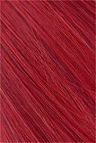 『TOP-CYDOLL 6月キャンペーン6.30迄 二つ目ヘッド、関節手指、リアルメイク塗装加工、髪の毛植毛、お尻の柔らか仕上げ、ハードフィット、ハードハンド、フック、ヘッドスタンドなど無料』等身大 アダルトダッチワイフ フルシリコン製えろい人形