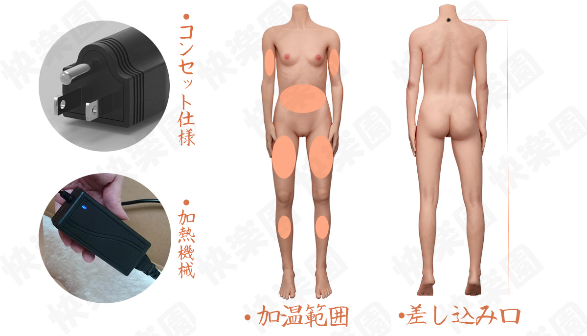 加熱オプション MLWリアルドール