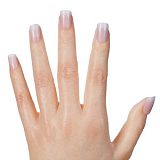 Real lady 170cm Cカップ S17ヘッド 有名モデルの型取り シリコン製リアルラブドール 塗装加工あり 眉毛と睫毛植毛加工あり リアルドール 等身大 ダッチワイフ