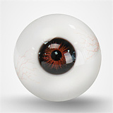 TOP-CYDOLL 22.2kgのみ Elva-Sヘッド 150cm Cカップ ミニギャル風のラブドール 宣材写真のはフルシリコン製のリアル高級ダッチワイフ