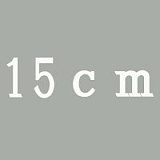 【キャンプ】蛍火日記 莲（lian）165cm Cカップ  フルシリコン製  リアルラブドール 美人妻 成熟 セクシー 塗装加工あり