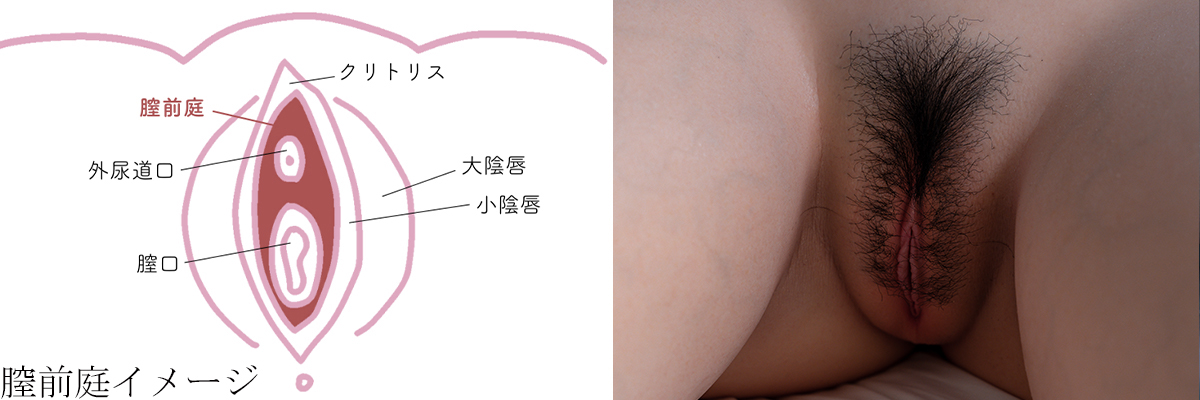 膣前庭構造 セックスドール　rzrdoll