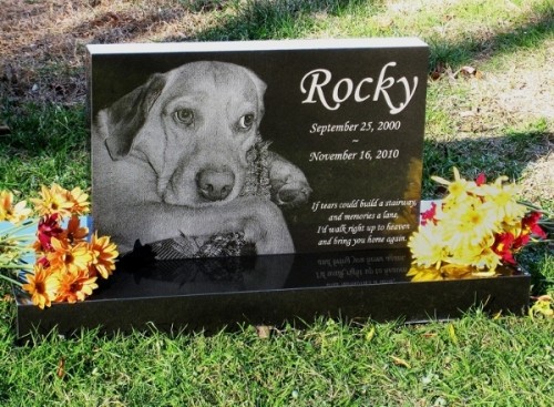 premium-absolute-black-granite-photo-pet-monument