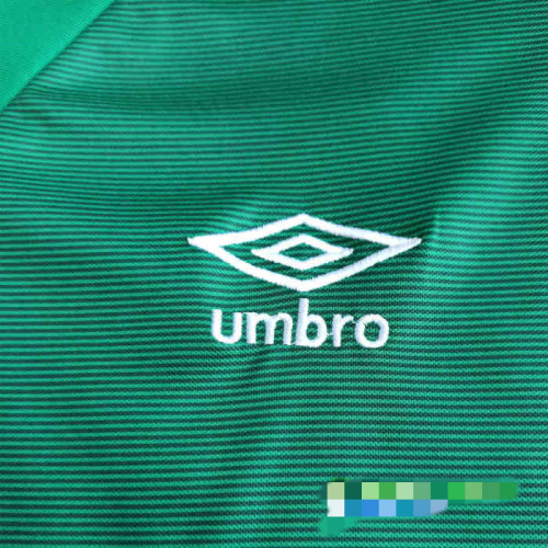 Ireland 2021 Home Soccer Jersey and Short Kit