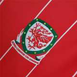 15 16 Wales Home Retro Men Soccer jersey AAA36023