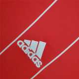 15 16 Wales Home Retro Men Soccer jersey AAA36023