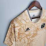 20 21 Argentina Commemorative Edition Fans Version Men Soccer jersey AAA36017