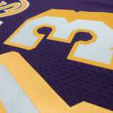 98 99 LAKERS RODMAN #73 Purple NBA Jerseys AAA42114