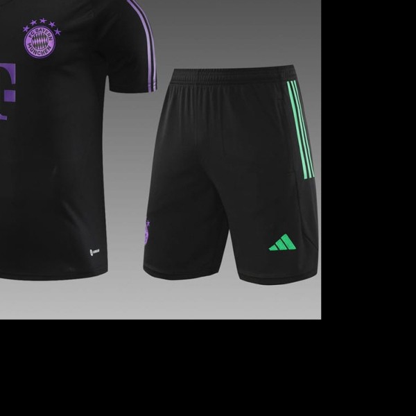23 24 Bayern Tracksuit AAA43591