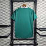 23 24 GOIAS photo Fans Version Men Soccer jersey AAA43901