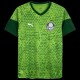 2024/25 Palmeiras Green Training Shirts