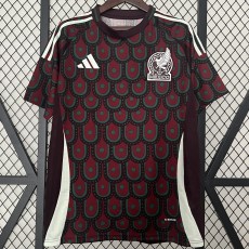 2024 Mexico Home Crimson Fans Soccer jersey