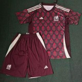 2024 Mexico Home Fans Men Sets Soccer jersey