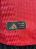 2024/25 Bayern Home Red Player Soccer jersey