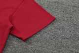 2024/25 Bayern Red Training Shorts Suit