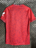 2024/25 Sevilla Away Red Fans Soccer jersey