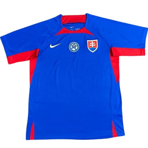 2024/25 Slovakia Home Blue Fans Soccer jersey