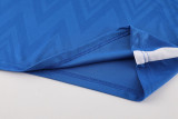 2024 Blue Training Shorts Suit