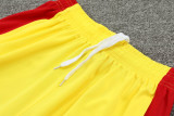 2024/25 LIV Yellow Training Shorts Suit