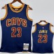 2015/16 CAVALIRERS JAMES #23 NBA Jerseys
