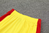 2024/25 LIV Yellow Training Shorts Suit