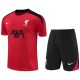 2024/25 LIV Red Training Shorts Suit
